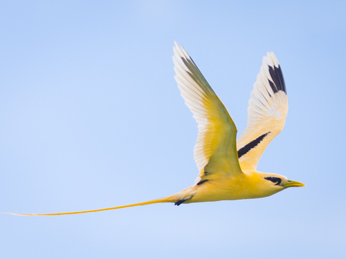 christmas island swell lodge photo tour example 25